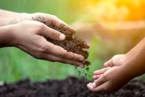 Teach your children to compost